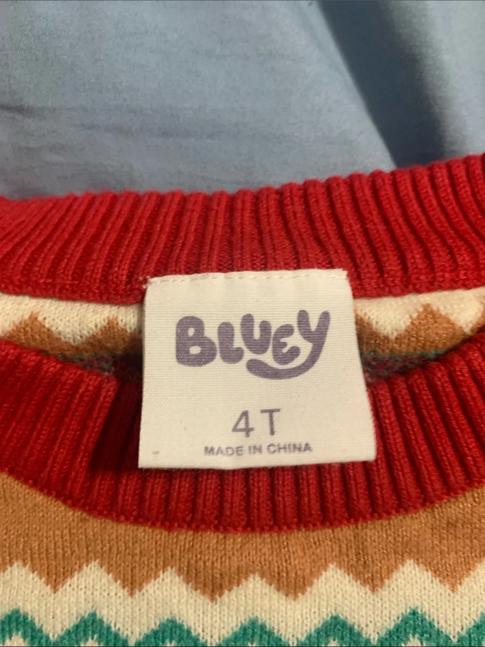 Bluey cozy kids